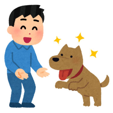 犬に好かれることの4つのスピリチュアルな意味とは？