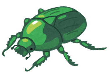 カナブンが発信する4つのスピリチュアルメッセージとは？