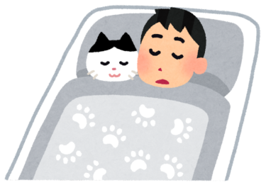 猫と一緒に寝ることで得られる4つのスピリチュアル効果とは？
