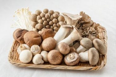 きのこの持つ素晴らしき5つのスピリチュアルパワーとは？