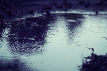 雨の持つエネルギーを引き寄せるために行うべき4つのスピリチュアルな行動